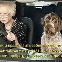 ���� Sergey, �����-���������, 74 ���� - ��������� 15 ��� 2014 � ������ ���� ����������