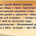 ���� �����, ������ - ��������� 8 ���� 2014 � ������ ������ ��������