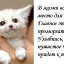  Lyubasha,  -  23  2014    