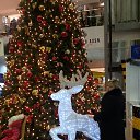 ���� �����, �������, 58 ��� - ��������� 8 ������ 2014 � ������ ���� ����������