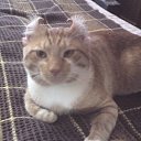 ���� Aror, �����-���������, 37 ��� - ��������� 12 ��� 2014