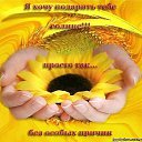 ���� �����, �������� - ��������� 22 ��� 2014 � ������ ������ ��������
