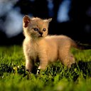 ���� ���������, ��������� - ��������� 17 ���� 2014 � ������ ������ ��������