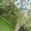 ���� �����, ������� - ��������� 17 ������� 2014 � ������ �14.08.2014�.�