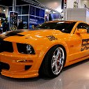 ���� �������, �����, 46 ��� - ��������� 11 ��� 2014 � ������ ���� ����������