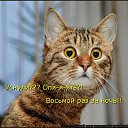  Marina,  -  18  2014    