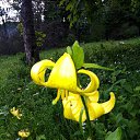  , --, 52  -  18  2014     2014