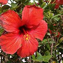 ���� I�na, ������ - ��������� 14 ���� 2014 � ������ ���� 2014 �. ����� ��������