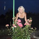 ���� ������, ������, 73 ���� - ��������� 4 ���� 2014 � ������ ���� ����������