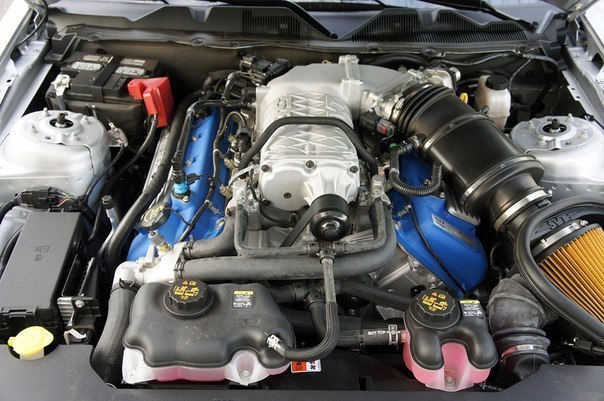 Ford Shelby GT500.  , .: 5409  : V8  , ..: 547 ... - 5
