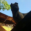 ���� Iv@n, ������, 44 ���� - ��������� 16 ������� 2014 � ������ ���� ����������