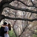 ���� �����, �����������-��-����� - ��������� 20 ��� 2014 � ������ ������ ��������