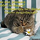 ���� ����, ������, 48 ��� - ��������� 21 ������ 2014 � ������ ���� ����������