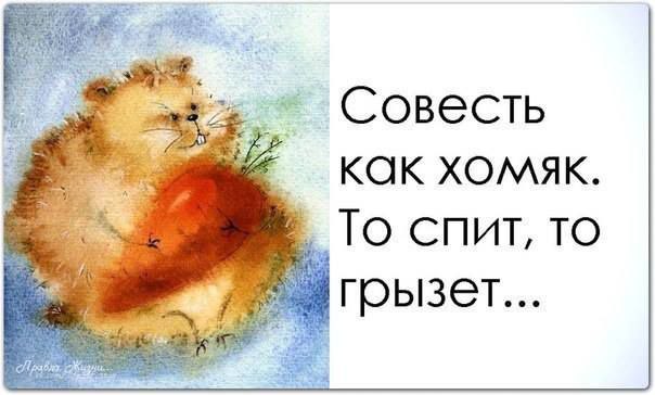  - 16  2014  19:43