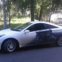 ���� ����, ����������, 34 ���� - ��������� 31 ���� 2014 � ������ ���� ����������