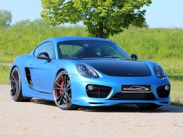 Porsche Cayman S SpeedART SP81-CR 360 (981C), 2013.  : 300 /   100 ... - 2