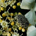 ���� �����, �����, 64 ���� - ��������� 27 ��� 2014 � ������ ������� ��������)))�