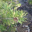 ���� �������, ������ - ��������� 27 ���� 2014 � ������ ������ ��������