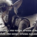  Alex, - -  8  2014    