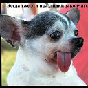 ���� **������**, ��������, 42 ���� - ��������� 16 ������� 2014 � ������ ���� ����������