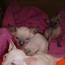 ���� ������, ���-�����, 48 ��� - ��������� 19 ������ 2014 � ������ ������ ��������