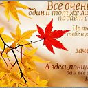 ���� �����, ����� - ��������� 3 ������� 2014 � ������ ������ ��������