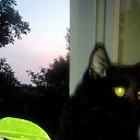 ������ ���������� )) �� ������� �������