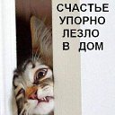 ���� ����, ������� - ��������� 22 ������� 2014 � ������ ���� ����������