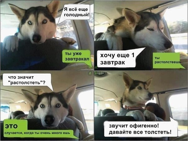 ���� � ������� - 24 ��� 2014 � 01:35