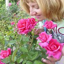 ���� ��������, ����, 52 ���� - ��������� 29 ���� 2014 � ������ ���� ����������