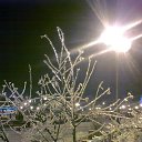 ���� ������, ������, 64 ���� - ��������� 13 ������� 2014 � ������ ���� ����� �������