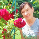 ���� ������, ����� - ��������� 1 ���� 2014 � ������ �.�