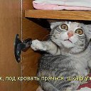  , , 50  -  26  2014     .. ; ))