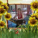 ���� ���������, ������ - ��������� 29 ���� 2014 � ������ ���� ����������