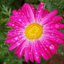 1.06.2014 �� ������� �����ܻ