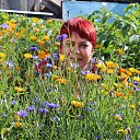 ���� �������, �������������, 50 ��� - ��������� 11 ������� 2014 � ������ ���� ����������