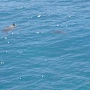 ���� ��������, ������������, 62 ���� - ��������� 26 ���� 2014 � ������ ���� ����������