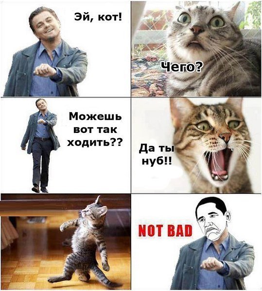   :3 - 5  2014  14:33