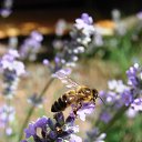 ���� �����, ������, 55 ��� - ��������� 15 ���� 2014 � ������ ���� ����������