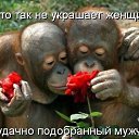 ���� ����, �������, 54 ���� - ��������� 3 ��� 2014 � ������ ������ ��������