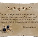 ���� ��������, ������, 61 ��� - ��������� 4 ���� 2014 � ������ ������ ��������
