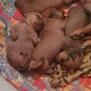 ���� ������, ������, 61 ��� - ��������� 14 ������ 2014