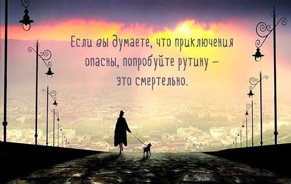    ! - 8  2014  01:35