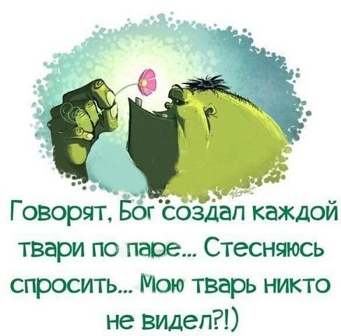      ,  ,     , .