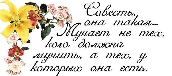 ���� - 14 ��� 2014 � 09:43