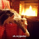 ���� ������a, ��������, 39 ��� - ��������� 19 ���� 2014 � ������ ������ ��������