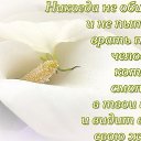 ���� ����, ������ �����, 55 ��� - ��������� 29 ������ 2014 � ������ ������ ��������