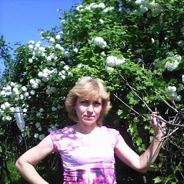 Наталья, 52, Северодонецк