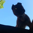 ���� Iv@n, ������, 44 ���� - ��������� 16 ������� 2014 � ������ ���� ����������