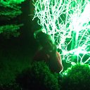  , , 46  -  12  2014   -